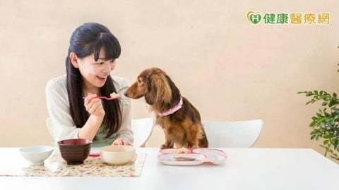 減肥「把自己當狗狗養」爆紅！營養師3點解析為何可行　揭人寵飲食差異