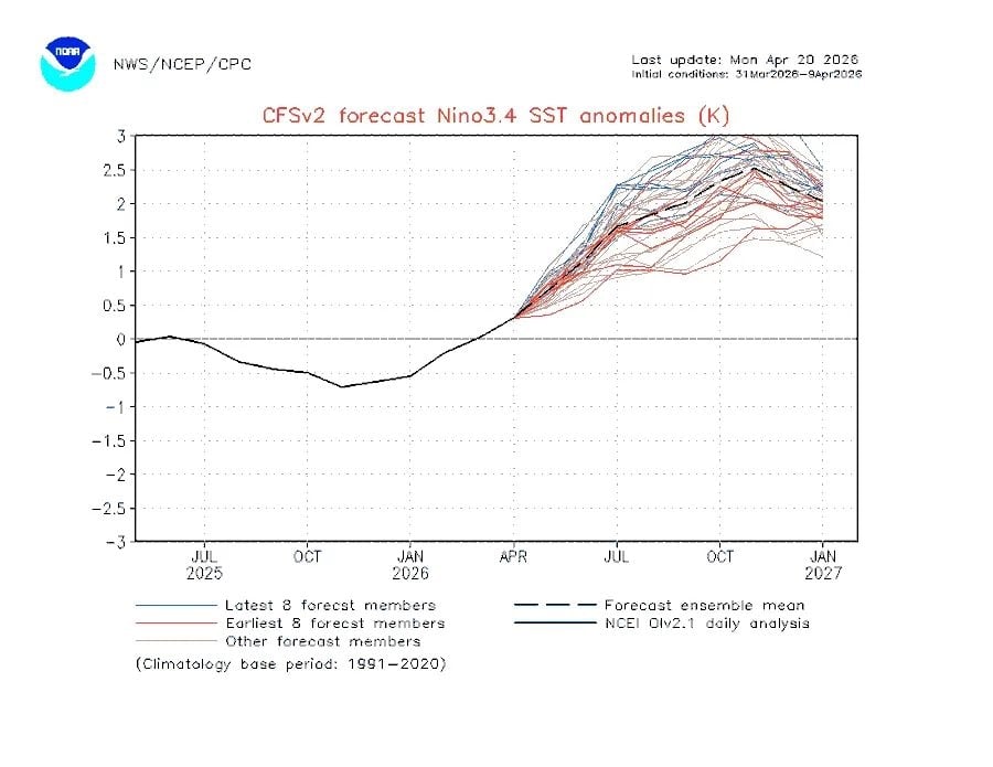 颱風生命延長、強度更猛？專家示警「強聖嬰」機率增：恐發展為高強度系統