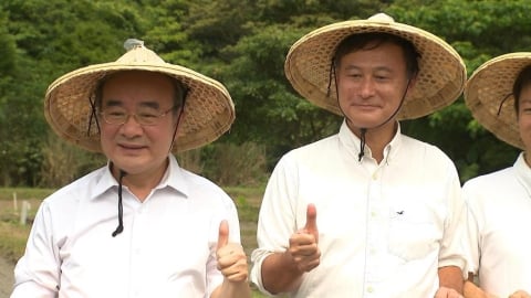 蓬萊米誕生陽明山竹子湖　傳遍全台各地改變耕作.飲食文化