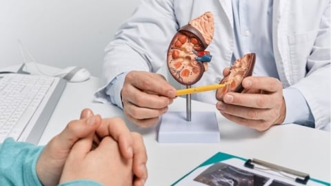 吃高蛋白不一定健康？ 別埋頭照抄網紅菜單，亂補恐讓「腎臟過勞」