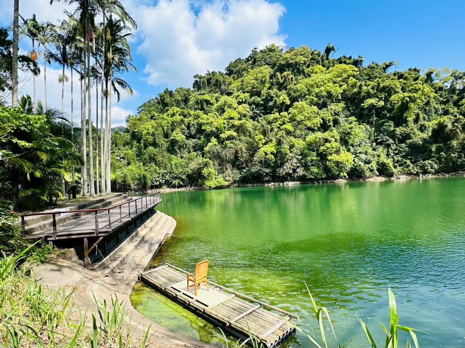 秘境再現驚艷回歸！後慈湖試營運首日爆滿　遊客大讚：美到不像真的！