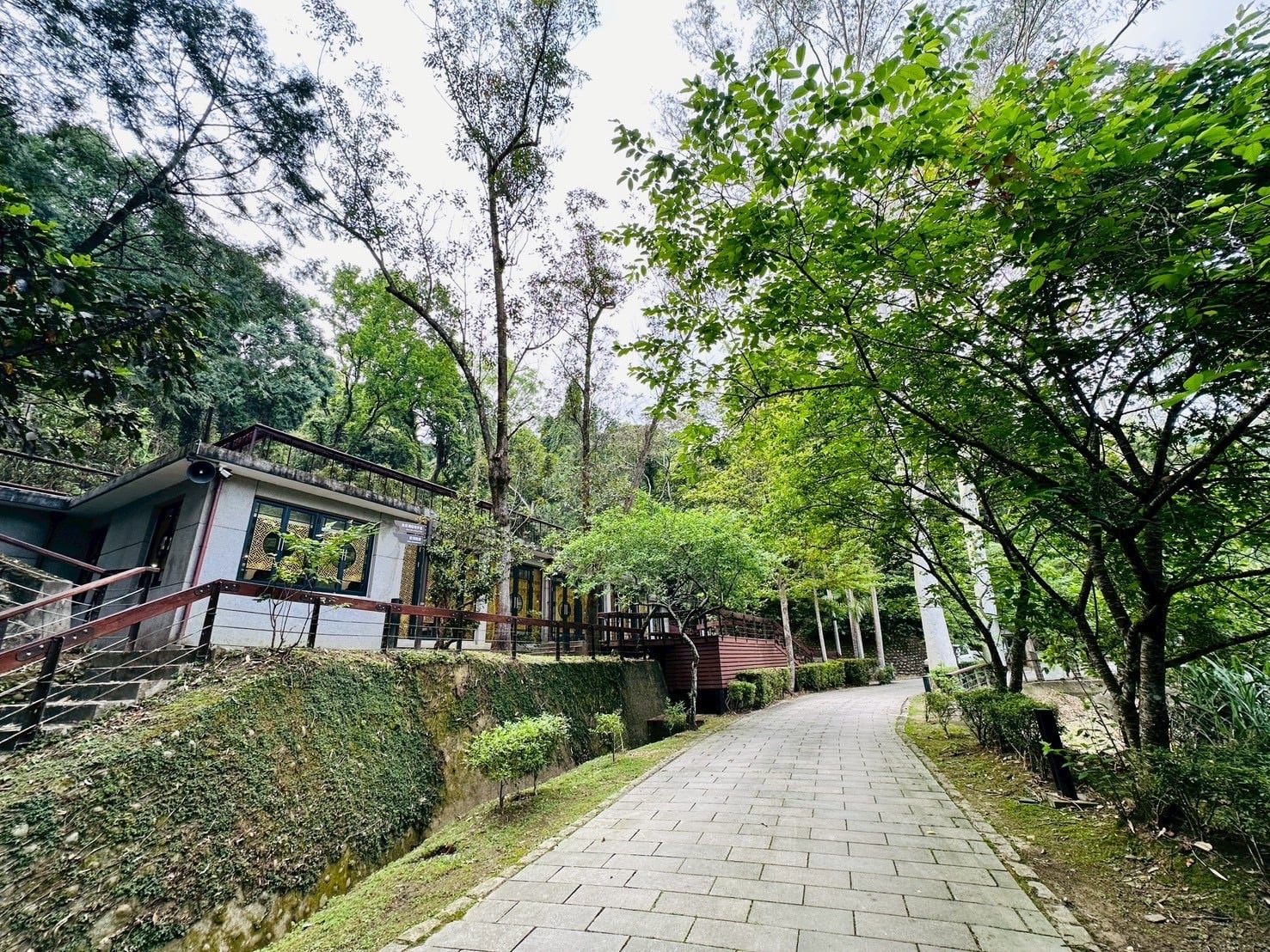 秘境再現驚艷回歸！後慈湖試營運首日爆滿　遊客大讚：美到不像真的！