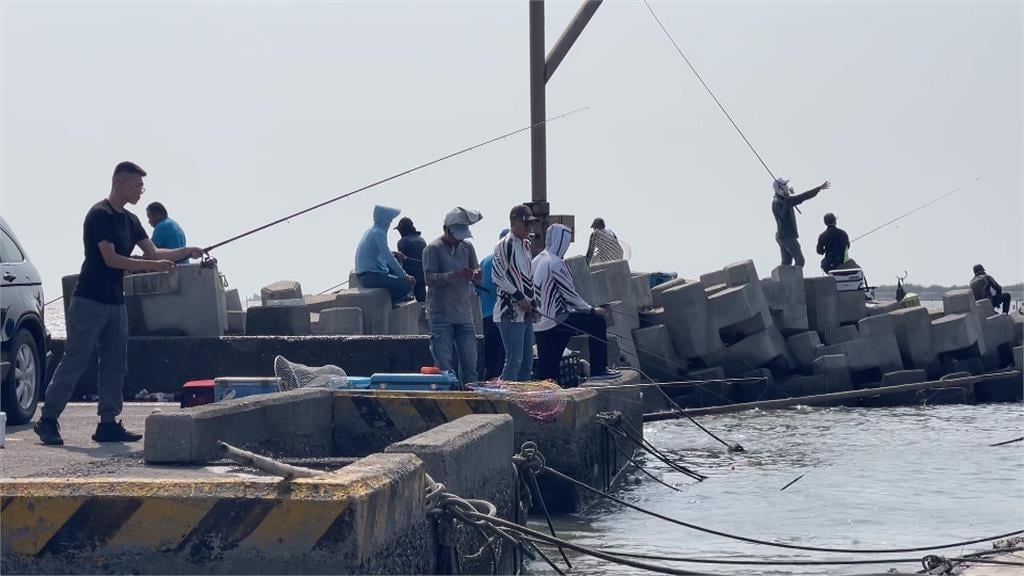 善心護魚放生活動成釣場？　東石鱸魚大軍遭「全殲」