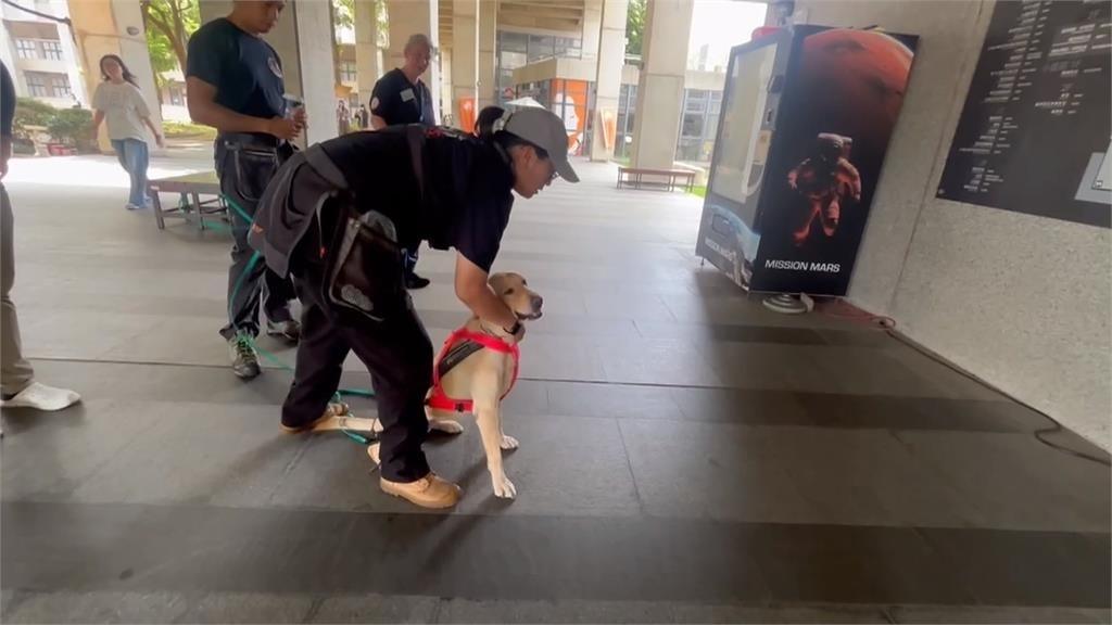 台中警犬隊Uhoo絕活獲肯定　通過德國高級路徑追蹤認證