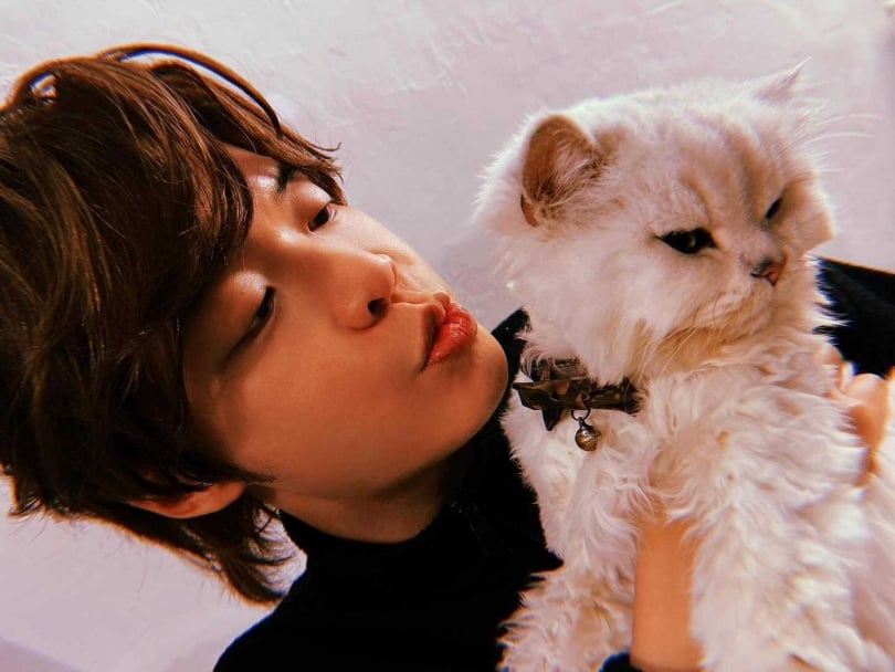 阿璞因愛貓離世有感而發。（圖／索尼音樂提供）