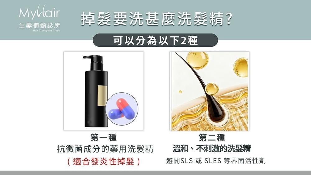 掉髮該怎麼選洗髮精？發炎與出油狀況差異解析：醫師說明頭皮清潔原則