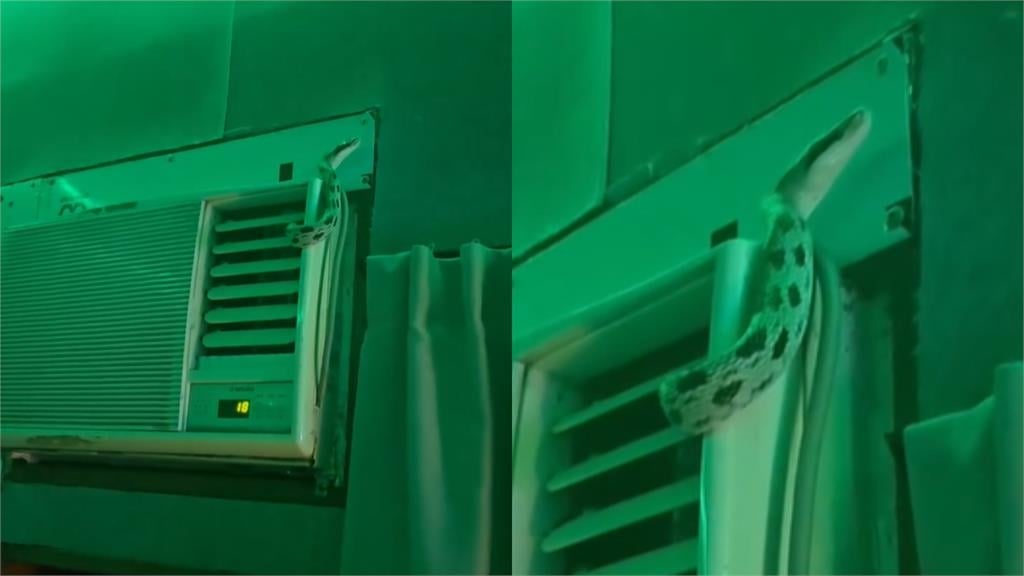 冷氣不涼嘉義男看出風口驚見「1活體」！房內出現不明物他嚇瘋「同居好幾天」