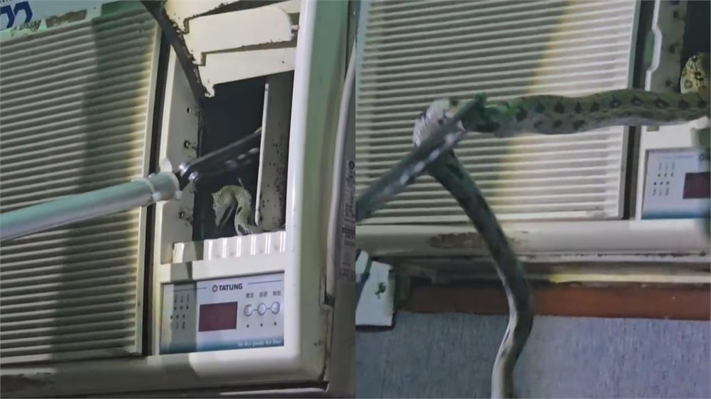 冷氣不涼嘉義男看出風口驚見「1活體」！房內出現不明物他嚇瘋「同居好幾天」