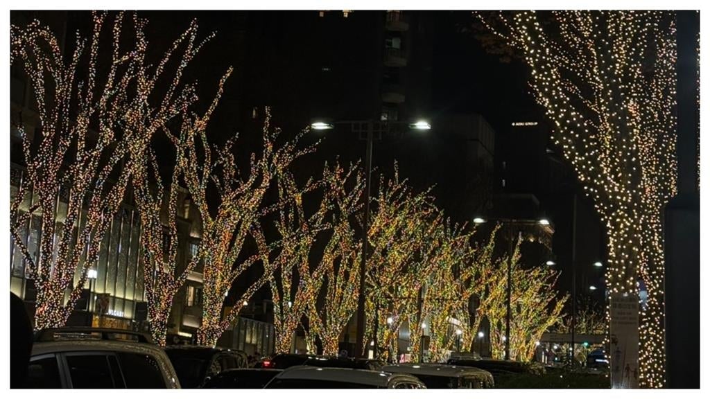 東京5萬元血汗之旅！「3萬步特種兵」訓練：人還躺在機場按摩椅