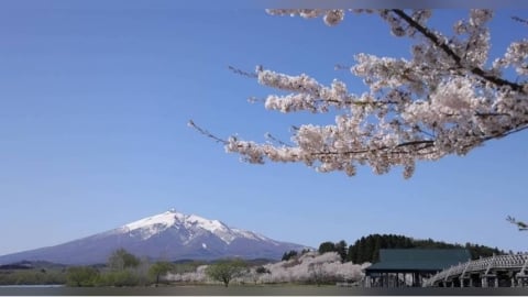 日本機票變貴！全日空、日航5月起調整燃油費　一家4口來回多噴1萬