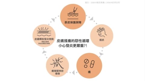 皮膚病治療怎麼選？口服藥、外用藥與照光治療解析