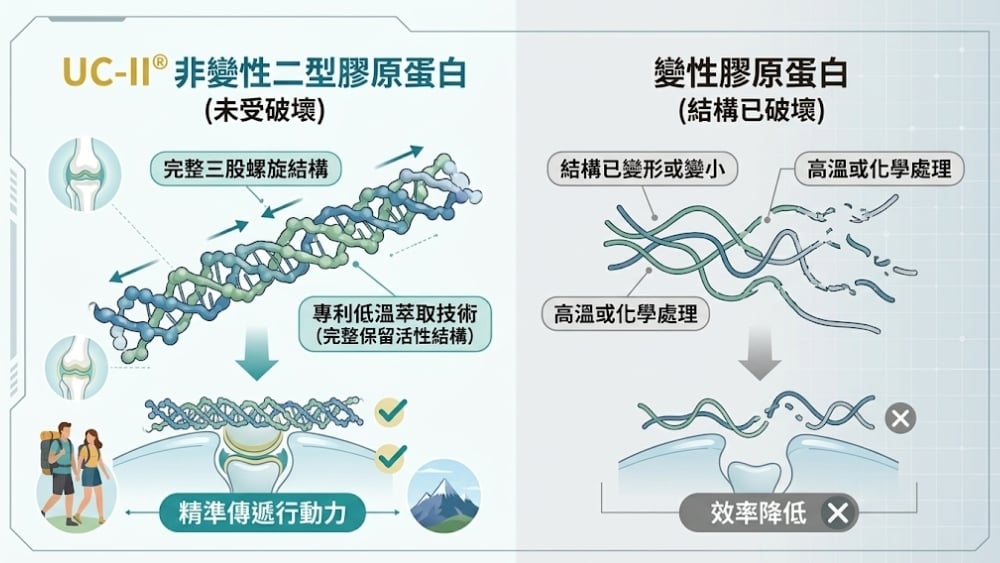 退休旅遊規劃夯！熟齡族行動力與日常營養補充成關注焦點