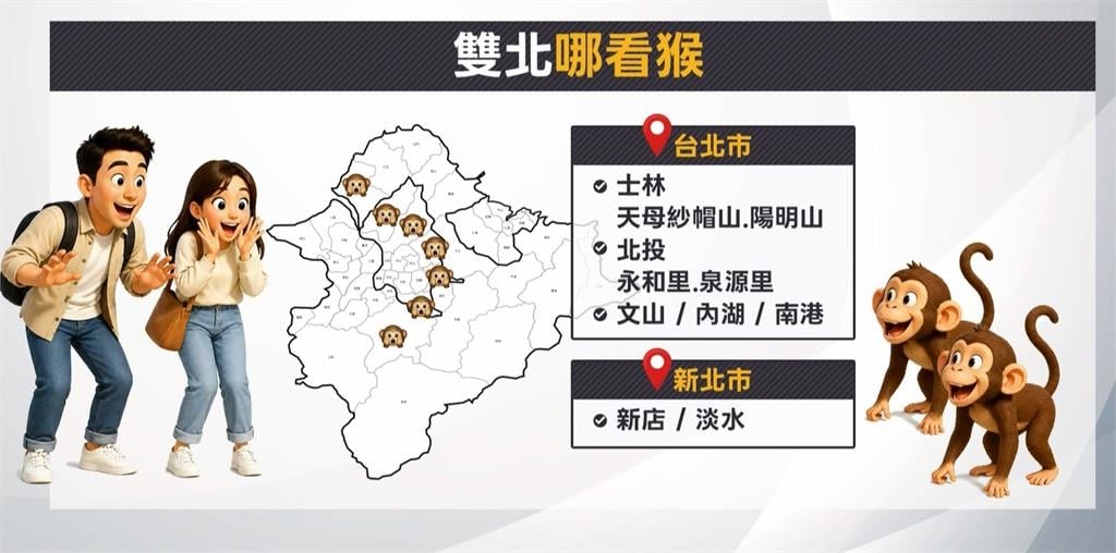 文化大學也有猴子入侵! 教室亂竄 保全捉捕後放生