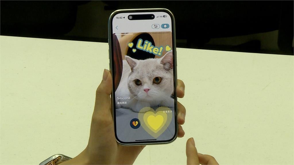 寵物也交友！出遊App整合友善地圖　幫毛孩找伴也幫主人擴社交圈