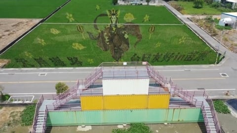 媽祖駕稻！苗栗稻田巨幅媽祖彩繪　吸引　「粉紅超跑」登高欣賞