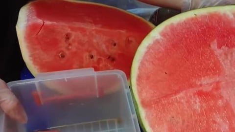 一家4口「吃完西瓜」12hrs內全喪命！專家示警「1動作」最致命