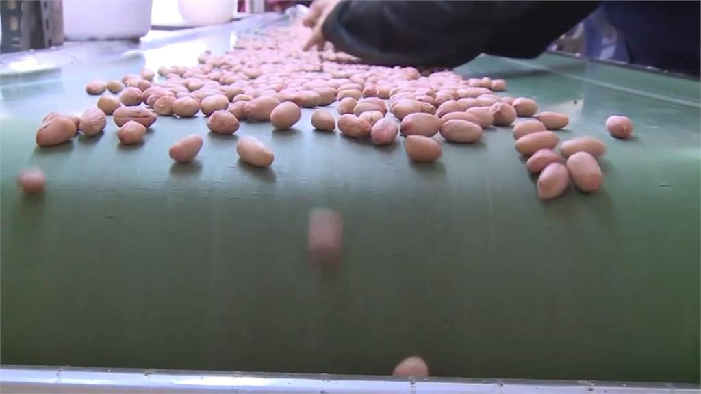 美國花生「零關稅」恐衝擊國內3成花生農　農業部將輔導轉作