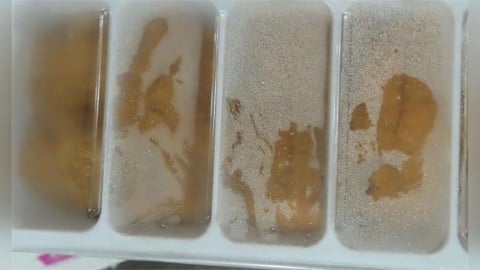 「爭鮮」出包！加拿大海膽卵重金屬超標   中國辣椒乾又爆蘇丹紅