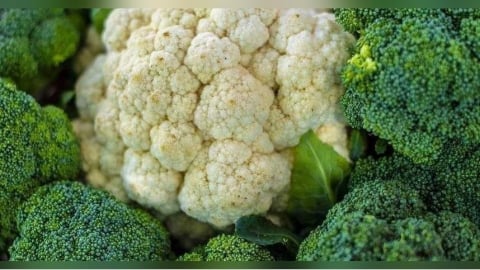 當兵共用2物竟染菜花？苦主沒亂來衰遭分手　醫曝同行更慘：鼻孔也長