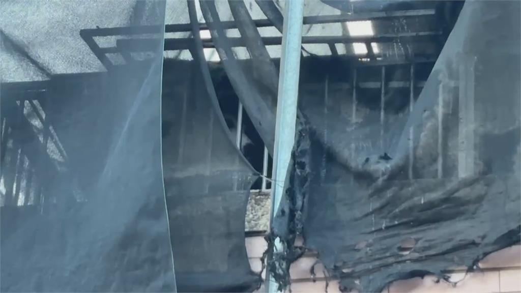 高雄民宅火警！二樓陽台飼養逾４０隻狗　動保處派員稽查