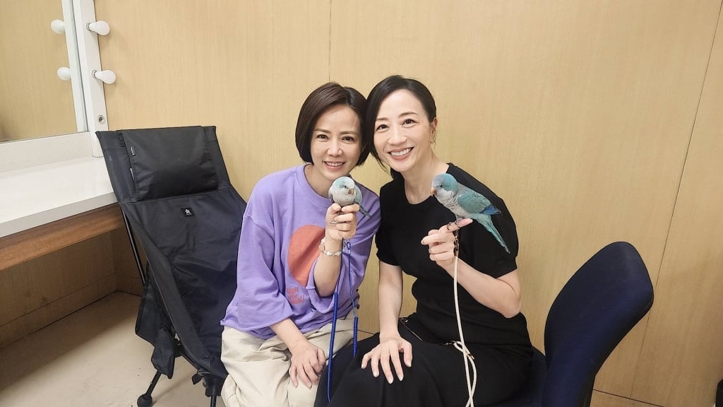 潘奕如攜愛子勇闖八點檔《豆腐媽媽》！晉升「星媽」她曝背後奇妙緣分