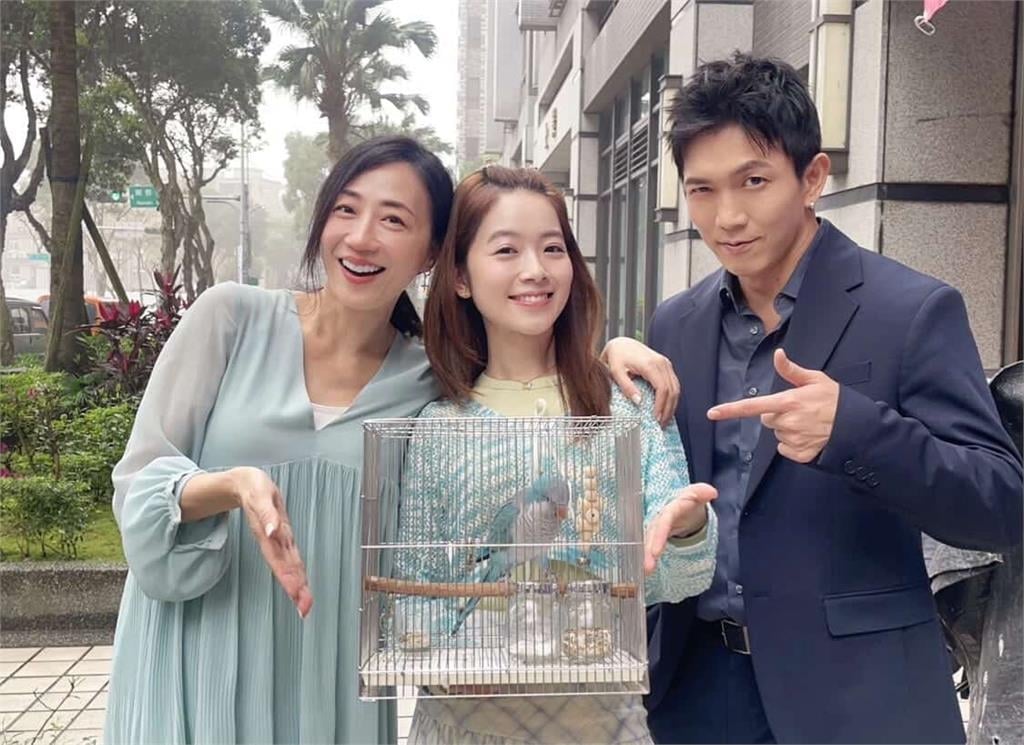 民視《豆腐媽媽》最強星二代登場！潘奕如愛鳥「樂樂」萌翻劇組　