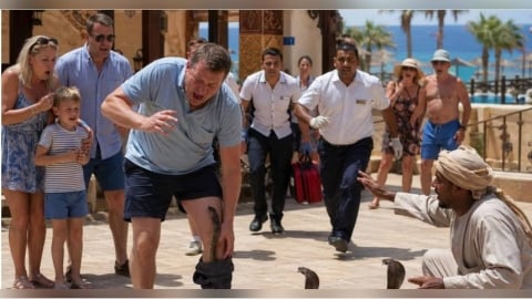 飯店娛樂變致命事故！弄蛇表演失控　男遭眼鏡蛇鑽褲咬傷喪命