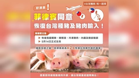 好消息！台灣豬重返菲律賓市場　「這天」恢復出口