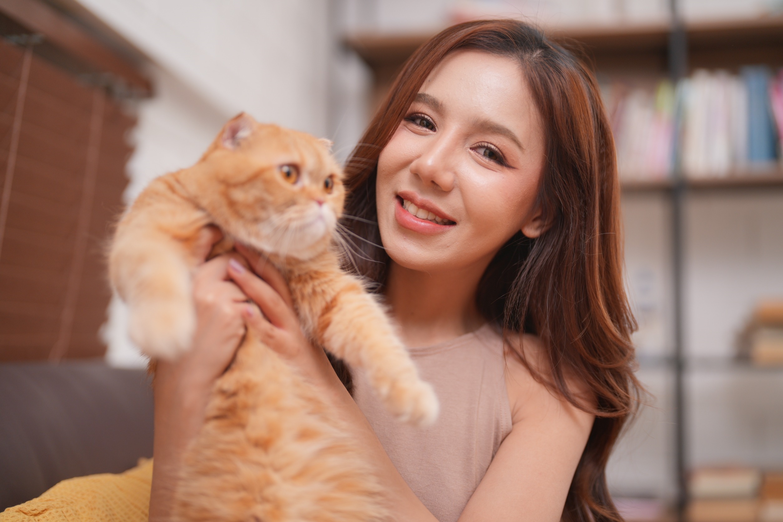 貓咪天生就是獵人，如果妳能成為那個陪牠釋放狩獵本能的人，妳在牠心中的地位會直接升天。圖/123RF圖庫