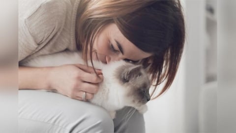 擄獲高冷主子的一顆心 貓奴五大必修課讓妳成為喵喵指定情人