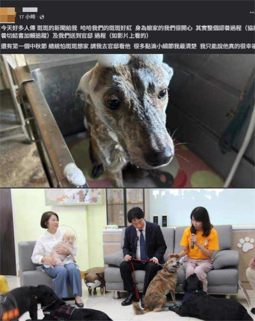 賴清德「認養愛犬斑斑」遭酸作秀！娘家突現身爆「總統反差私下面」：只能說…