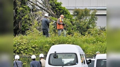 110公斤巨熊「躲1處」飛撲襲擊遛狗女…狠抓臉、頭部濺血！牠下場曝光