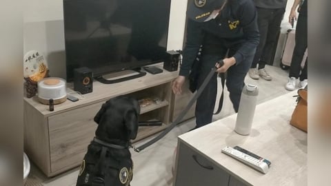 詐團新偽造超商交易平台　打詐再增新成員電子產品偵測犬
