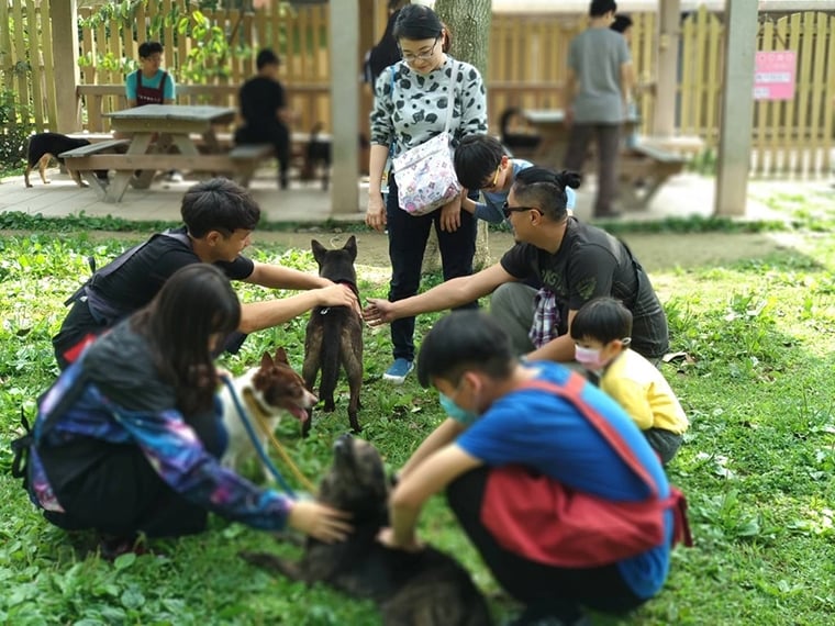 捨棄高薪工作來台 美籍男子加入板橋動物之家遛狗志工