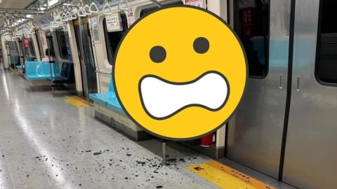 北捷車廂「砰一聲」玻璃爆開破大洞！「碎片噴滿地」畫面曝光…他嚇瘋：在我左前方