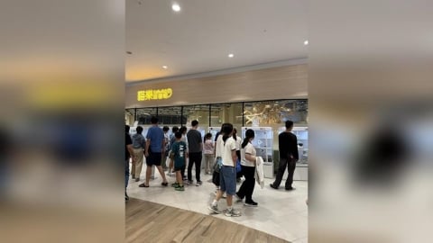貓咪嚇壞！小孩猛拍打LaLaport貓咖櫥窗　台中動保處回應了