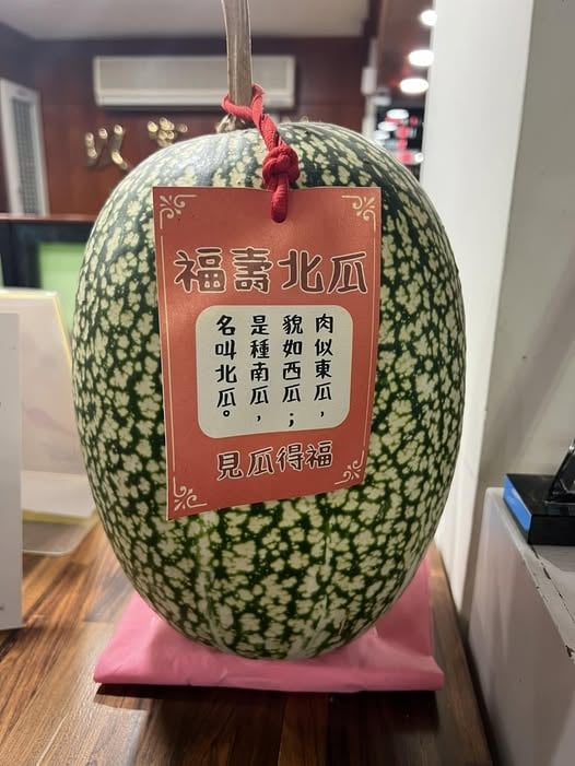 飯店桌上擺1顆罕見「北瓜」！他不解釣出一票內行人解惑：超好吃