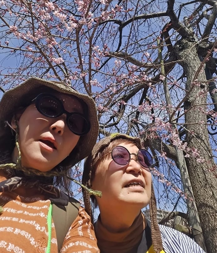 藍心湄