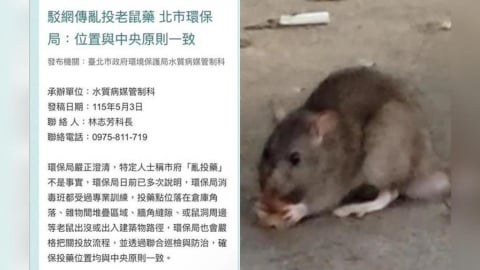 北市「鼠患」入侵商圈、校園！環保局駁斥亂投藥傳聞⋯網見「1關鍵字」氣炸