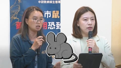 大規模投藥恐造「超級老鼠」？專家籲蔣市府考慮這件事