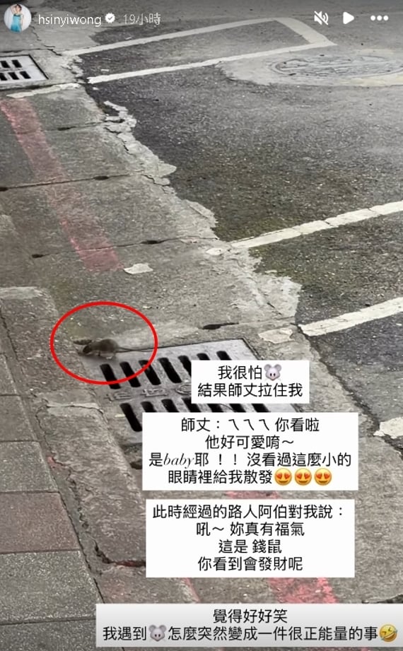 張菲辣媳