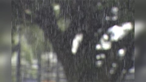 華南雲雨區影響「全台濕涼」！晚間雨勢漸趨緩