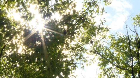 今迎立夏門神生日！命理專家示警「4大禁忌」：衝動投資恐慘賠