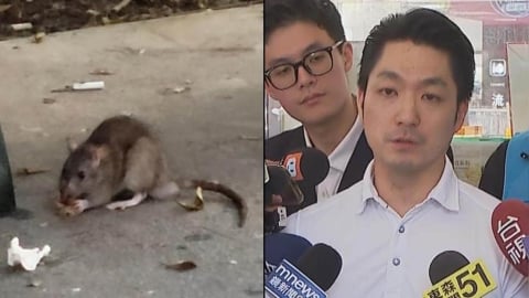 蛤？蔣萬安稱「將擬定滅鼠具體措施」網紅受不了開轟：過去半年在幹嘛