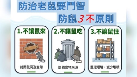 台北防治鼠害　環境部提4點精進建議