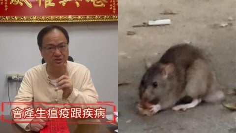 又1命理師「神預言」北市鼠患！3月就示警「慎防2事」今全成真嚇翻網