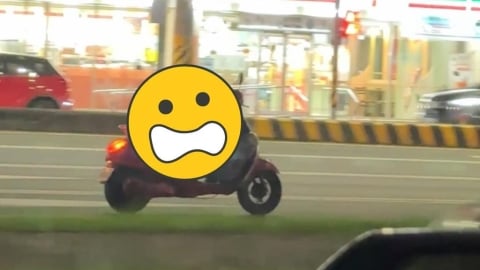 斗六街頭驚見「黑狗騎車」！驚嚇片瘋傳「1細節」引眾怒...警方出手了