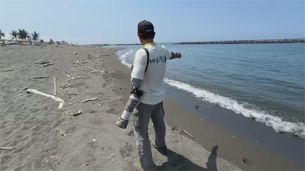 林園海灘驚見"移動紅龜粿"！　含毒性海蛞蝓首現蹤