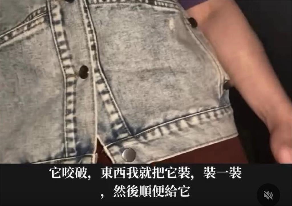 快新聞／南陽街共享空間婦人撒麵包丁餵老鼠！「吃完就會搬走」還批店家殺生