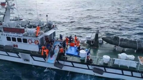 八里擱淺小虎鯨檢查後狀況良好　海巡協助野放重返大海